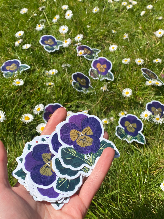 Pansy sticker
